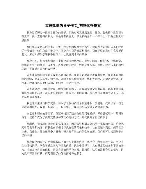 那段孤单的日子作文_初三优秀作文