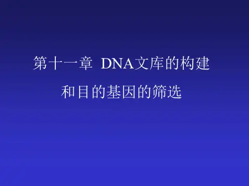 第十一章 DNA文库的构建和目的基因的筛选