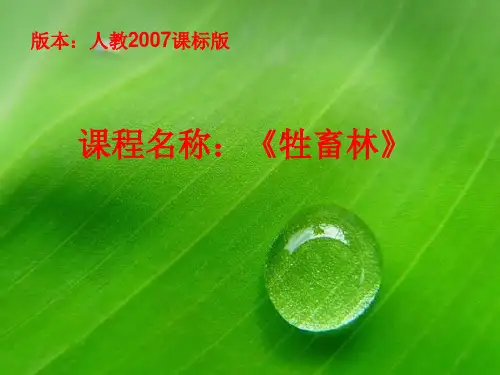 人教版高中语文选修“外国小说欣赏”第六单元《牲畜林》 课件35张
