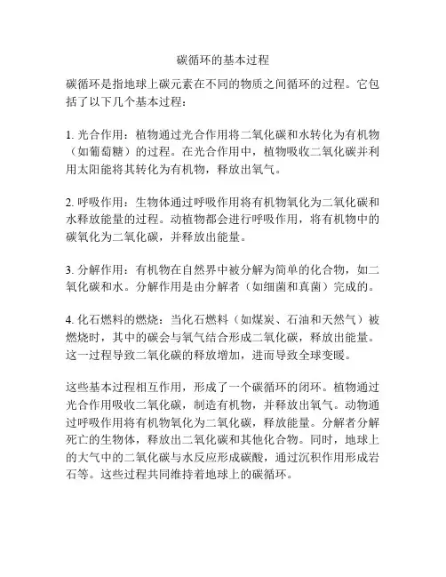 碳循环的基本过程