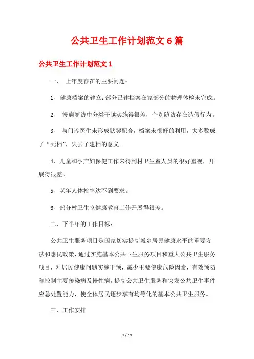 公共卫生工作计划范文6篇