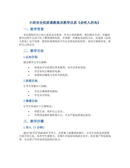 小班安全优质课教案及教学反思《会咬人的电》