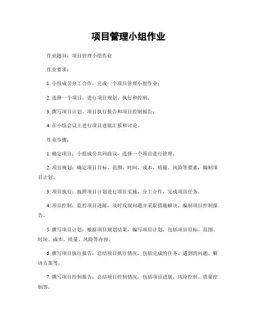 项目管理小组作业