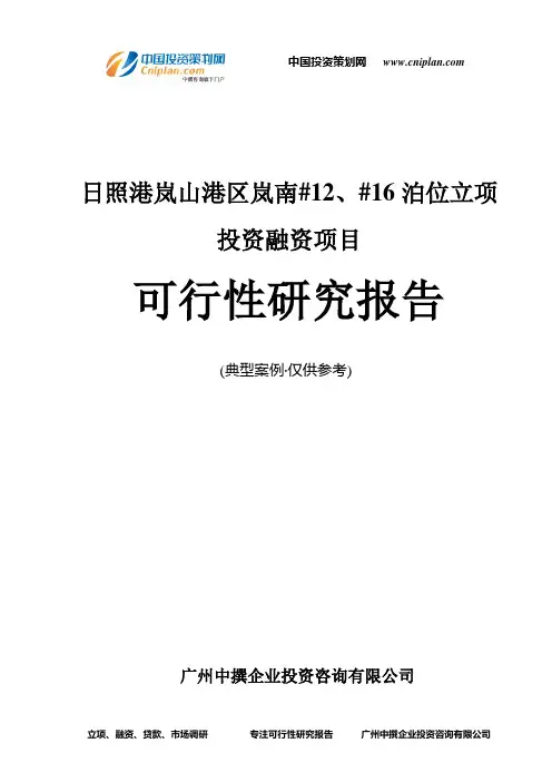 日照港岚山港区岚南#12、#16泊位融资投资立项项目可行性研究报告(非常详细)