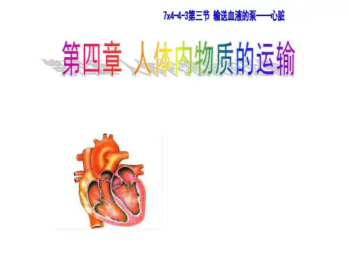 人教版初中生物七年级下册 第四单元 生物圈中的人 第四章 输送血液的泵-心脏课件