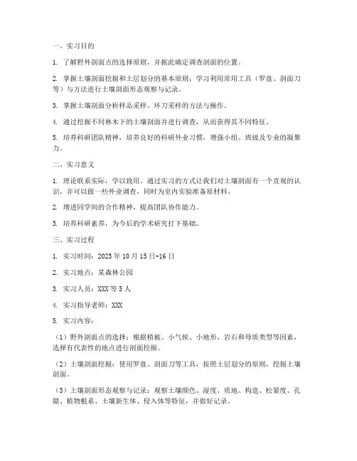 挖掘土壤剖面实习报告