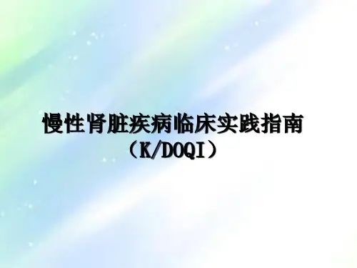 肾内科临床诊疗指南 PPT