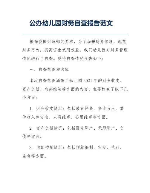 公办幼儿园财务自查报告范文