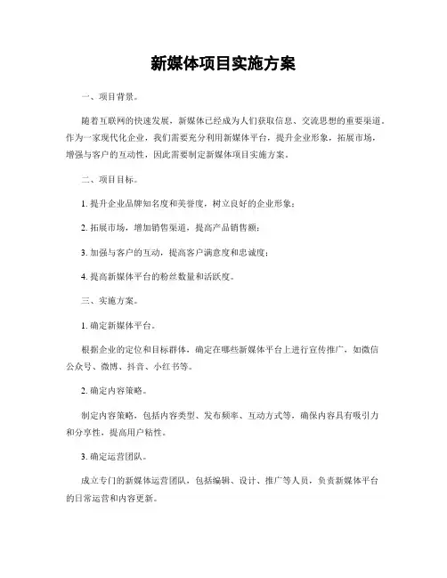 新媒体项目实施方案