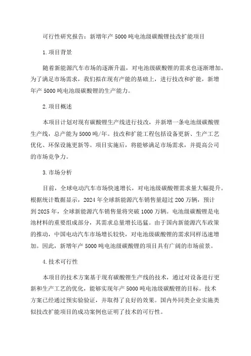 新增年产5000吨电池级碳酸锂技改扩能项目可行性研究报告