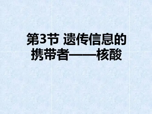 人教版 高一生物 必修一 第二章 第3节-遗传信息的携带者——核酸精选课件