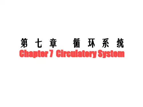 【组胚】7.循环系统