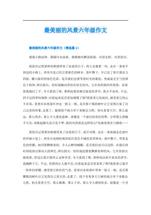 最美丽的风景六年级作文