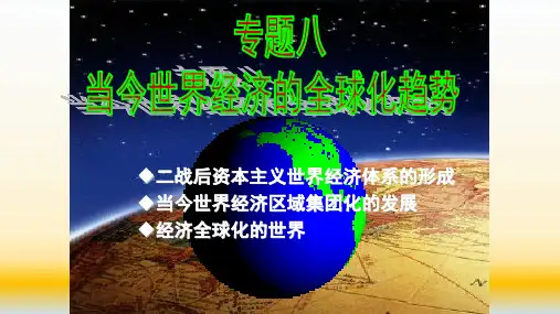 高考历史：世界经济的全球化趋势课件