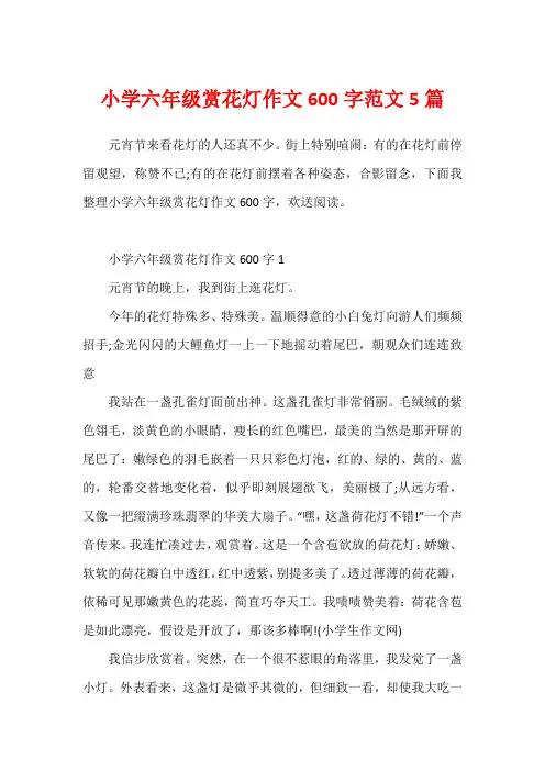 小学六年级赏花灯作文600字范文5篇