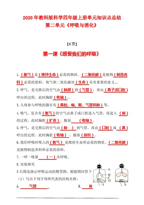 2020新教科版四年级科学上册第二单元知识点总结复习【按课编写】