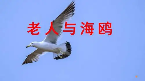 人教版小学语文六年级上册《 21 老人与海鸥》 公开课课件_8