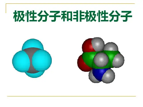 极性分子和非极性分子