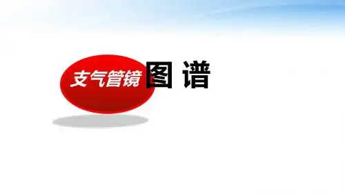 支气管分段亚段及及支气管镜检查  ppt课件
