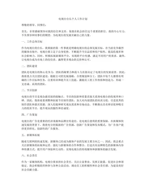 电视台台长个人工作计划