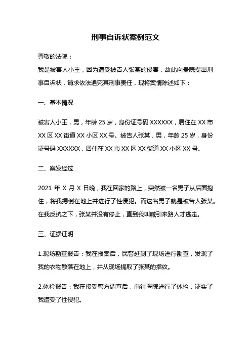 刑事自诉状案例范文