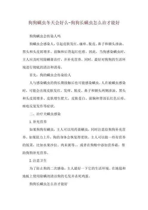狗狗螨虫冬天会好么-狗狗长螨虫怎么治才能好