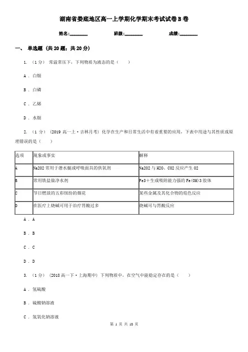 湖南省娄底地区高一上学期化学期末考试试卷B卷