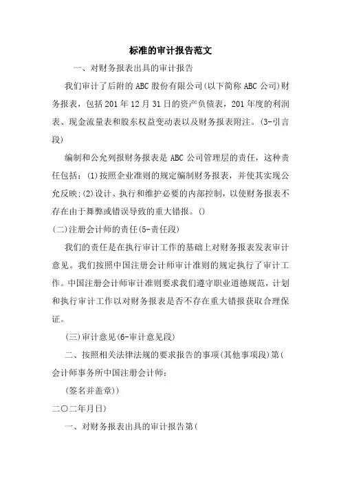 标准的审计报告范文