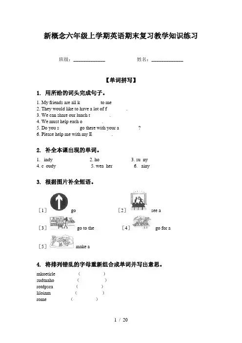 新概念六年级上学期英语期末复习教学知识练习