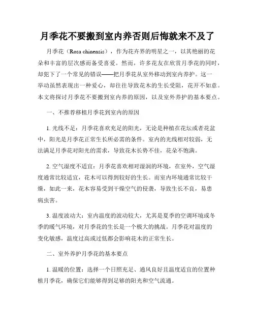 月季花不要搬到室内养否则后悔就来不及了