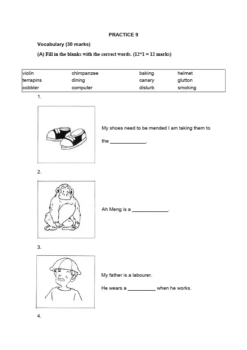 新加坡小学一年级英语试卷及答案PRACTICE 9