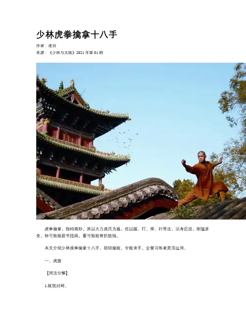 少林虎拳擒拿十八手