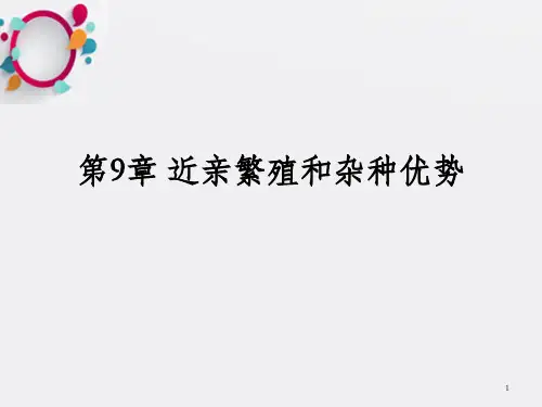 近亲繁殖和杂种优势
