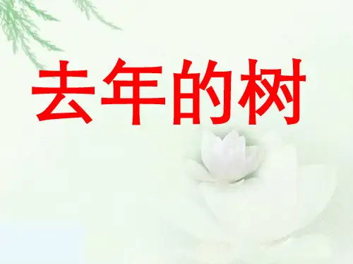 《去年的树》四年级上册语文PPT课件