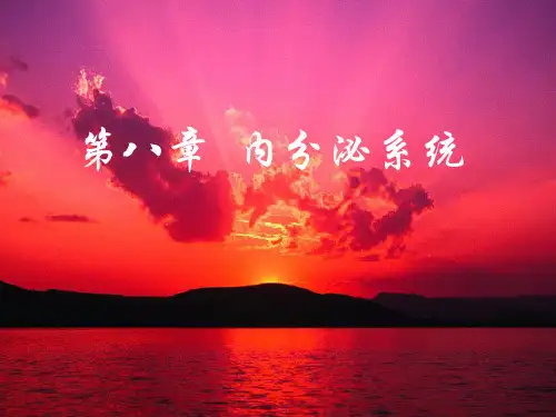 【核医学 课件 PPT】内分泌