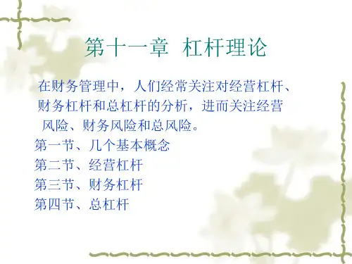 财务管理基础课件(第11章杠杆理论)