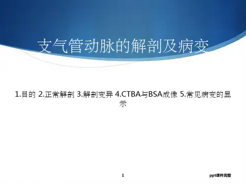 支气管动脉的解剖及病变ppt课件