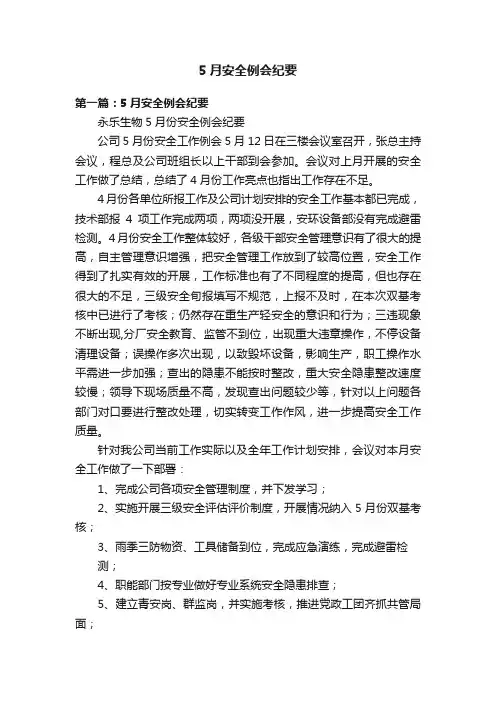 5月安全例会纪要