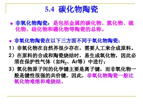 碳化物陶瓷