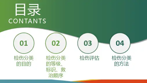 院前急救 检伤分类(急危重症护理课件)