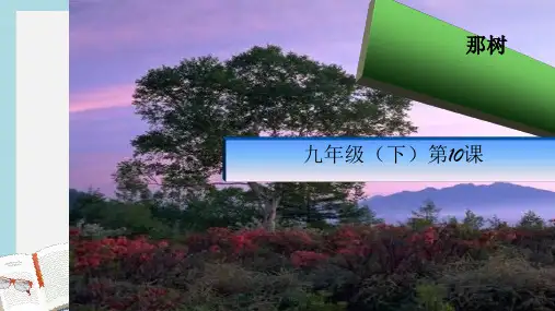 九年级语文下册新人教版10那树ppt课件(精选)