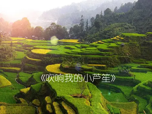 沪教版小学四年级音乐下册(简谱)《吹响我的小芦笙》