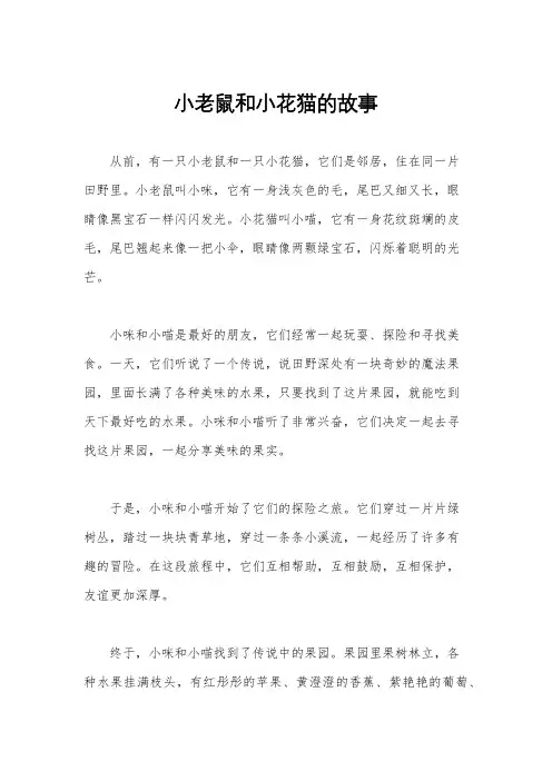 小老鼠和小花猫的故事