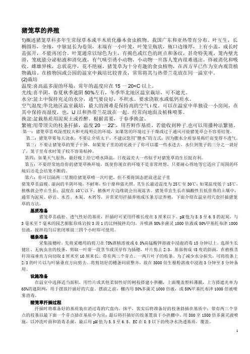 猪笼草的养殖