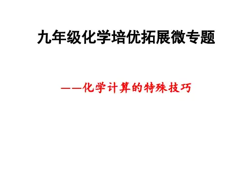 专题4   九年级化学培优拓展微专题——化学计算的特殊技巧精讲(课件)