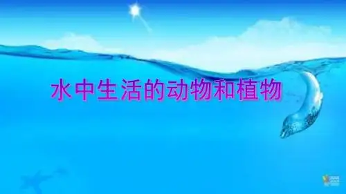 水中生活的动物和植物