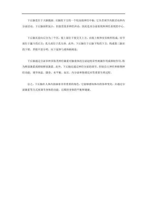 下丘脑名词解释