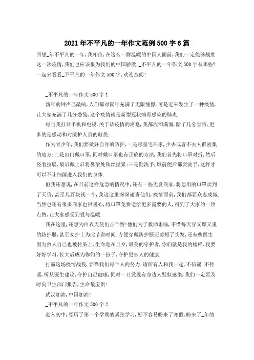 2021年不平凡的一年作文范例500字6篇