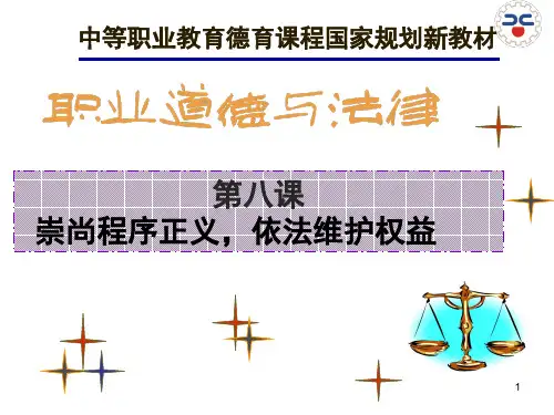 第八课崇尚程序正义