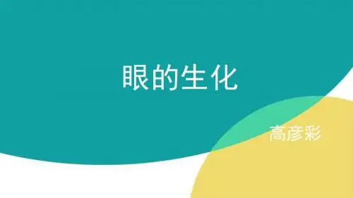 眼的生化